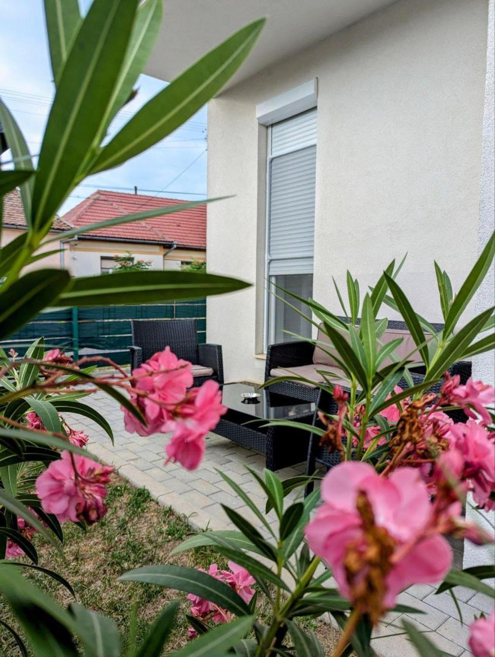 Gast Haus Apartment Sibiu Luaran gambar